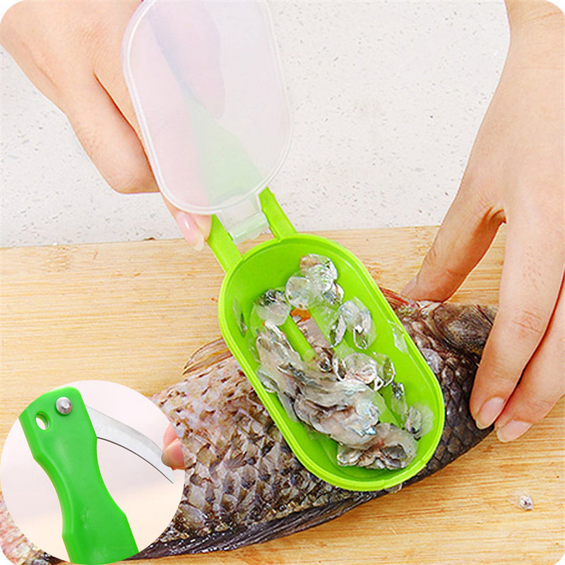 Scraping Scale Fish