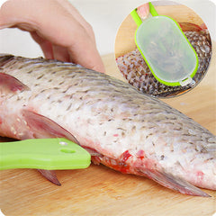 Scraping Scale Fish