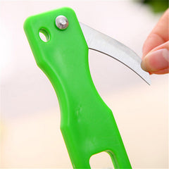 Scraping Scale Fish